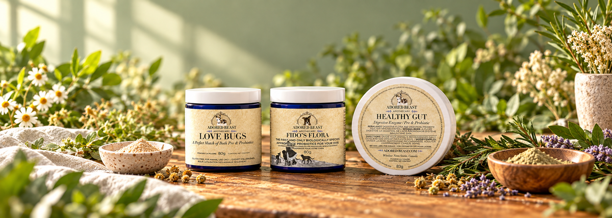 Adored Beast Gut Products Compared: Love Bugs vs Fido's Flora vs Healthy Gut