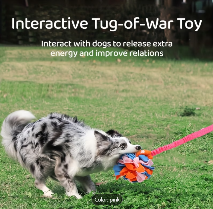 Neon Fleece Ball Tug Toy
