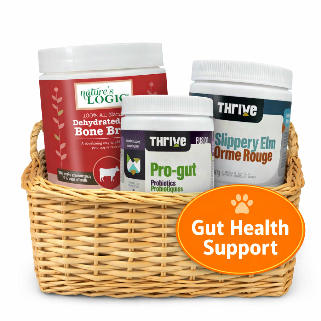 Gut Health Essentials Bundle