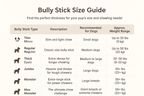 6" Bully Sticks