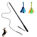 Black廷ue with a dog toy and two colorful dog toys on a white background