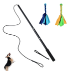 Black廷ue with a dog toy and two colorful dog toys on a white background