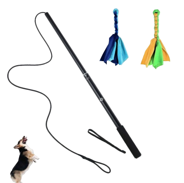 Black廷ue with a dog toy and two colorful dog toys on a white background