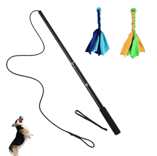 Black廷ue with a dog toy and two colorful dog toys on a white background