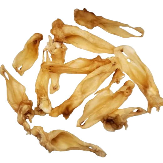 Dried shark fin pieces on a white background