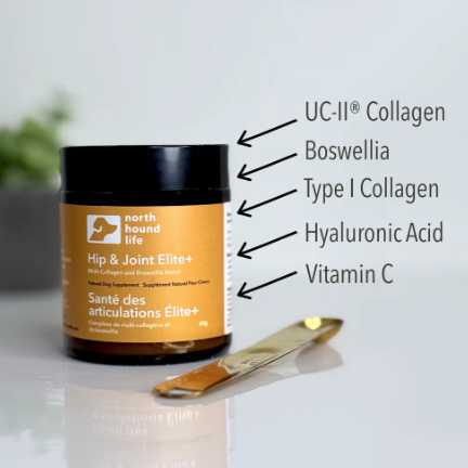 Jar of 'North Hound Life' supplement with labeled ingredients on a white surface.
