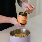 Person adding a pet supplement to a bowl of dog food