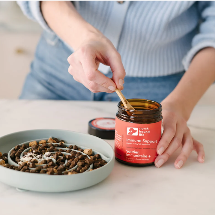 North Hound Life Immune Support+ | Organic Turkey Tail Mushroom