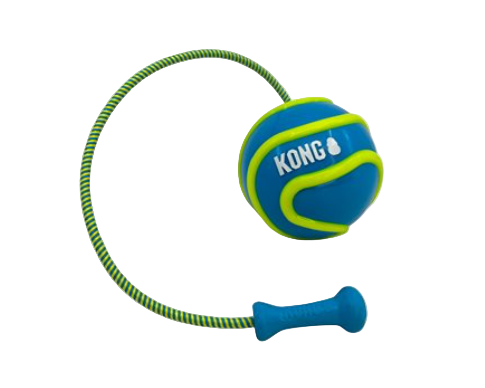 Kong dog toy with a ball and handle on a white background