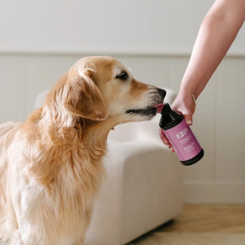 North Hound Life Omega 3+ Canadian Harp Seal Oil