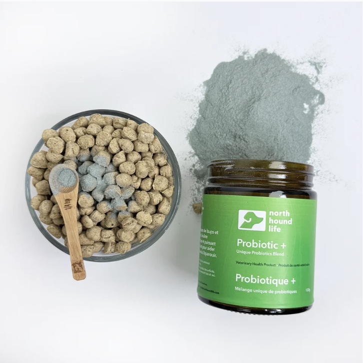 North Hound Life Probiotic+ | Canine-Specific Probiotic Blend