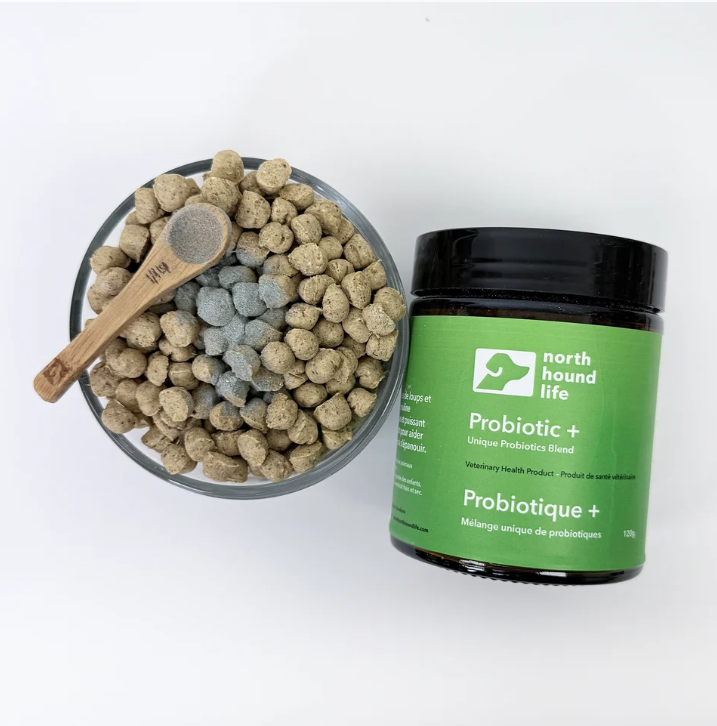 North Hound Life Probiotic+ | Canine-Specific Probiotic Blend