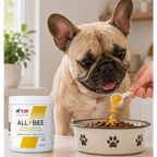 RAW Support All Bee | Seasonal Allergy & Immune Support