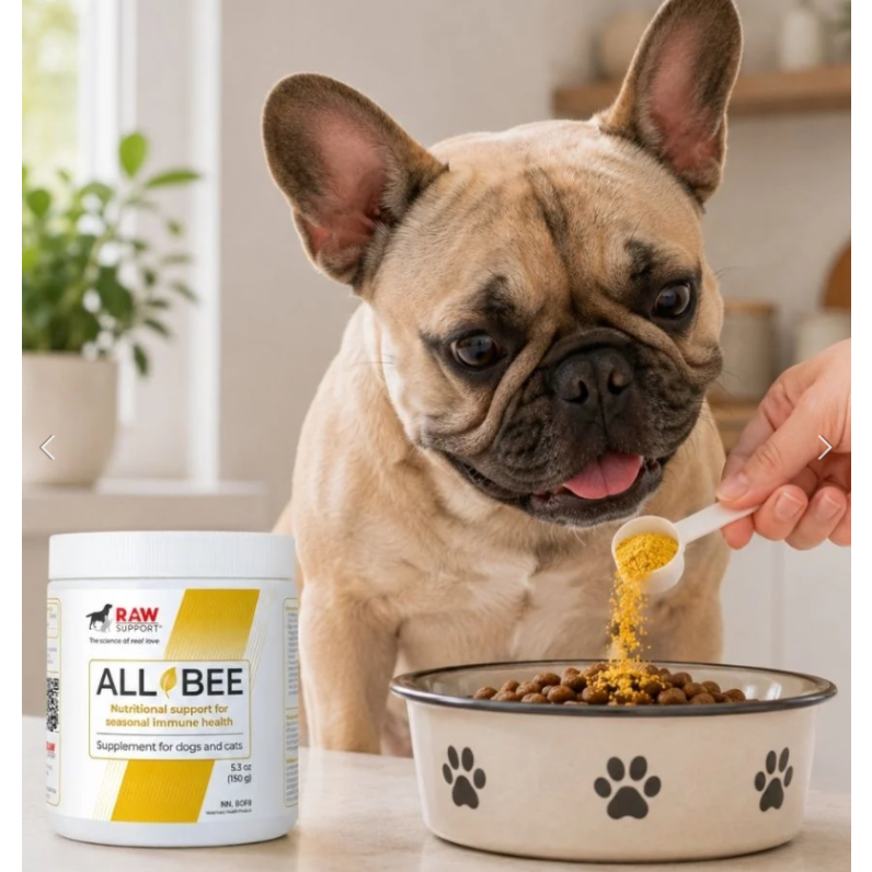 RAW Support All Bee | Seasonal Allergy & Immune Support