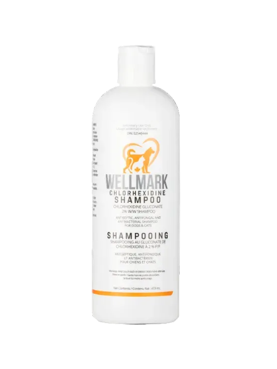 A white plastic bottle of Wellmark Chlorhexidine Shampoo for dogs and cats, featuring an orange dog logo and black and orange text on a clean white background.