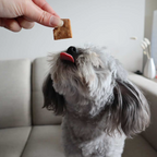 Soft Natural Peanut Training Treats
