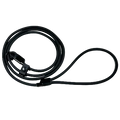 Black dog leash on a white background