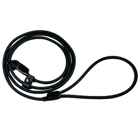 Black dog leash on a white background