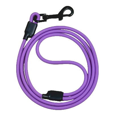 Purple dog leash with black clip