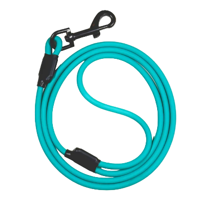 Teal dog leash with black clip on a white background