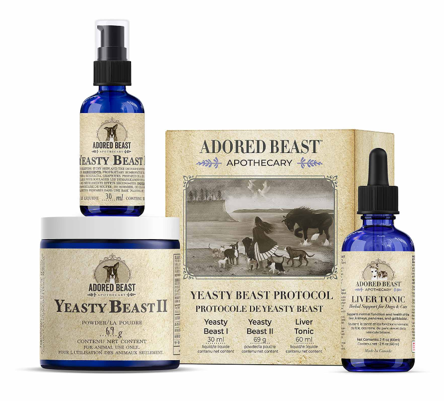 Yeasty Beast Protocol (3-Product Kit) — Premium Yeast Overgrowth Support