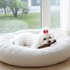 Bâtonnet de collagène glacé au foie de bœuf