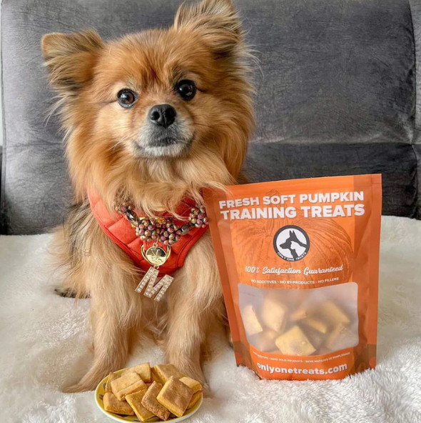 Soft Pumpkin Training Treats